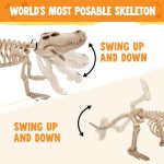 Joyfy Halloween Skeleton Fish Skeleton Halloween Decor,Plastic Skeleton with LED Eye for Halloween Decoration Outdoor Haunted House Party - Image 25
